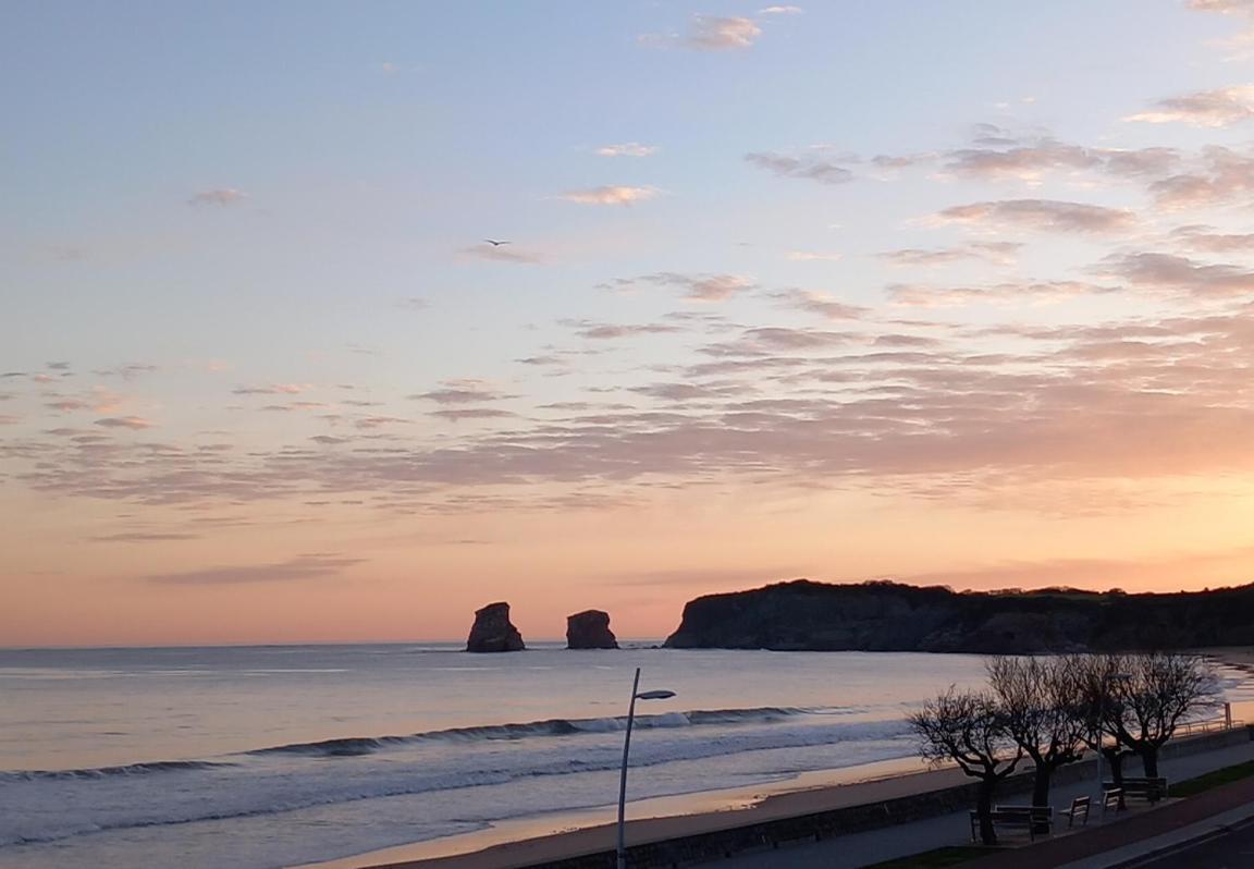 Appartement Bord De Mer Tres Lumineux 2/4 Pers. - Vue Inoubliable アンダイエ エクステリア 写真