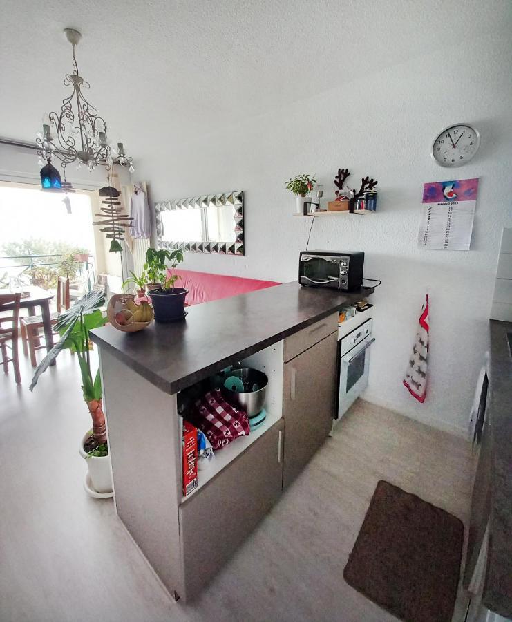 Appartement Bord De Mer Tres Lumineux 2/4 Pers. - Vue Inoubliable アンダイエ エクステリア 写真